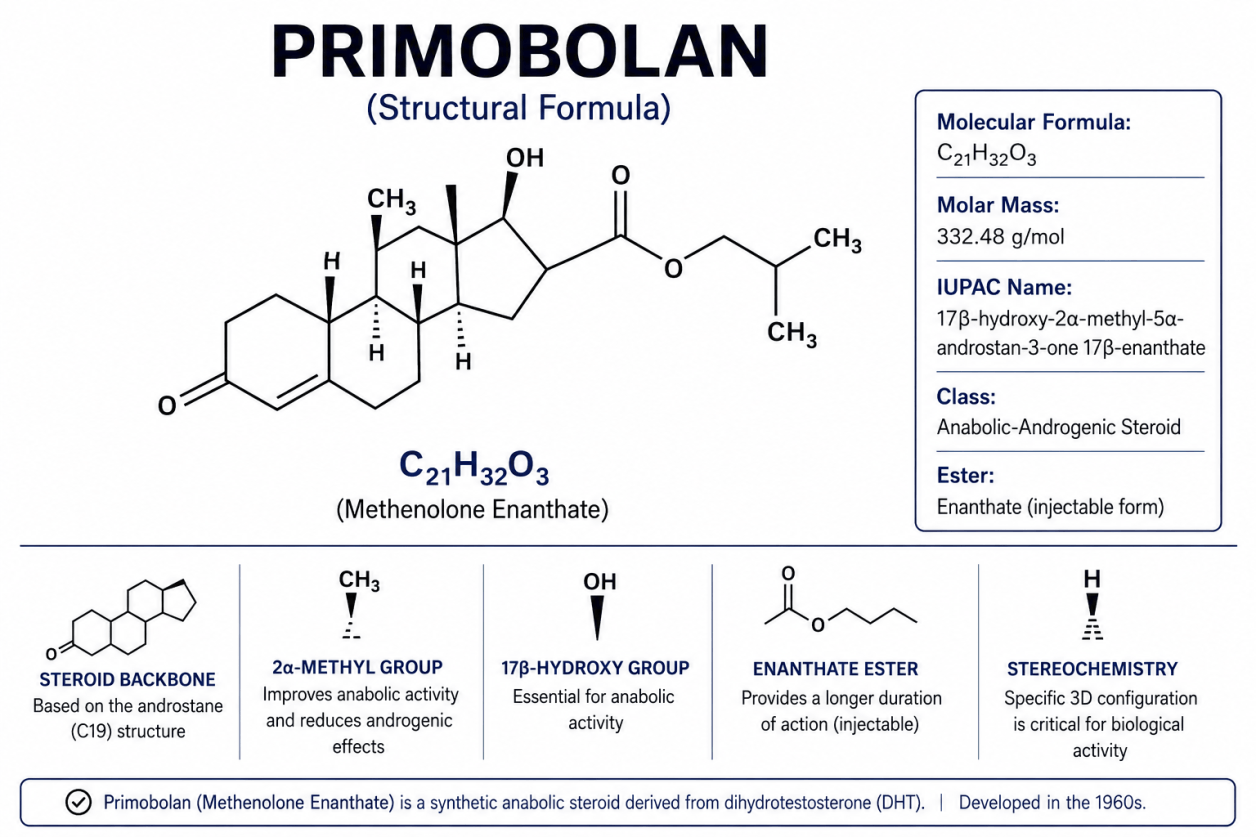 Primobolan (Metenolone), steroide anabolizzante androgeno e principio attivo del preparato Primobolan.