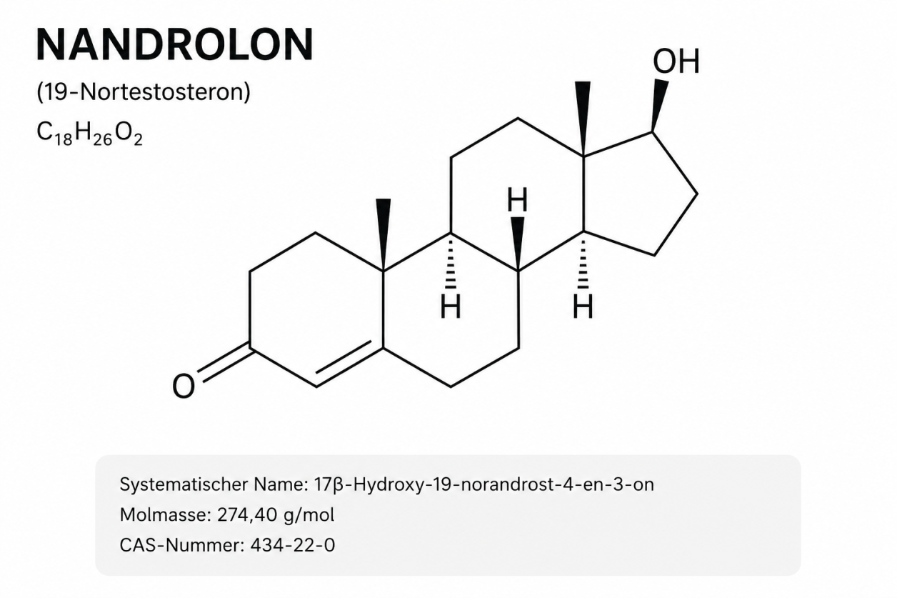 Formula strutturale del nandrolone nel banner di Drachensang Academy Italia – Configurazione molecolare dello steroide anabolizzante